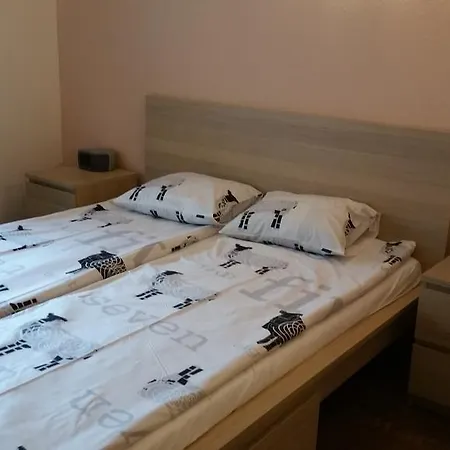 公寓 Ringi 54 派尔努