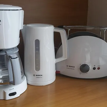 Ringi 54 公寓 派尔努